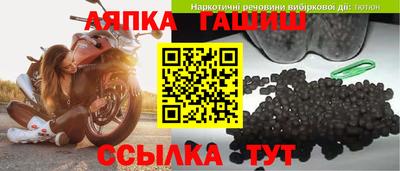 шишки Ачхой-Мартан