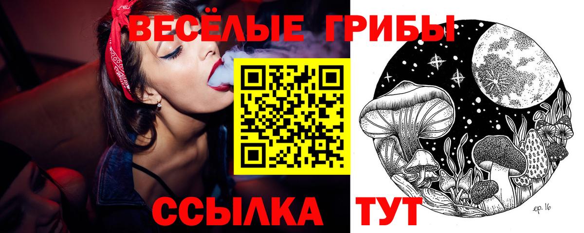 хочу наркоту  Вход с VPN  Псилоцибиновые грибы мицелий  Ачхой-Мартан  Галлюциногенные грибы MAGIC MUSHROOMS 
